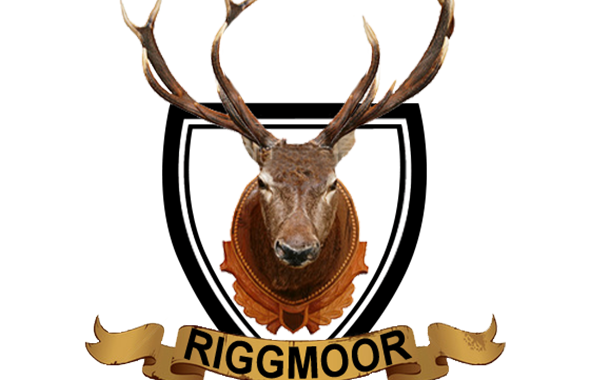 Riggmoor Reindeer